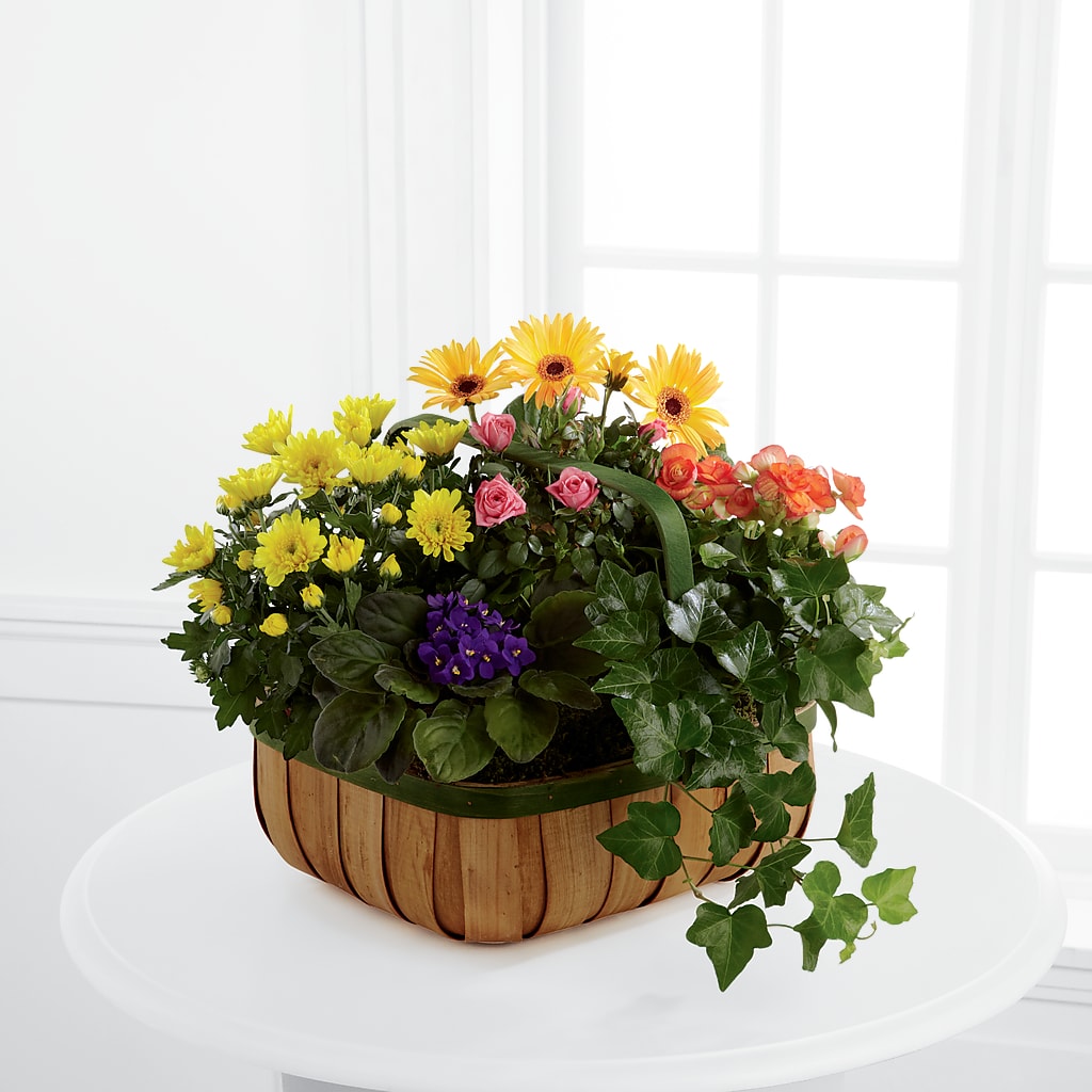 Gentle Blossoms Basket – EASTON'S FLOWERS, Mount Vernon IL