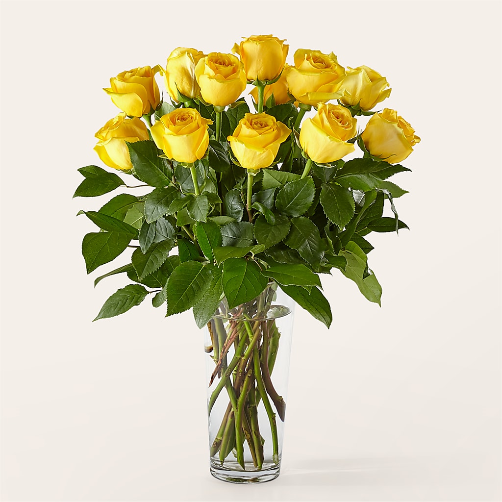 Long Stem Yellow Rose Bouquet – EASTON'S FLOWERS, Mount Vernon IL