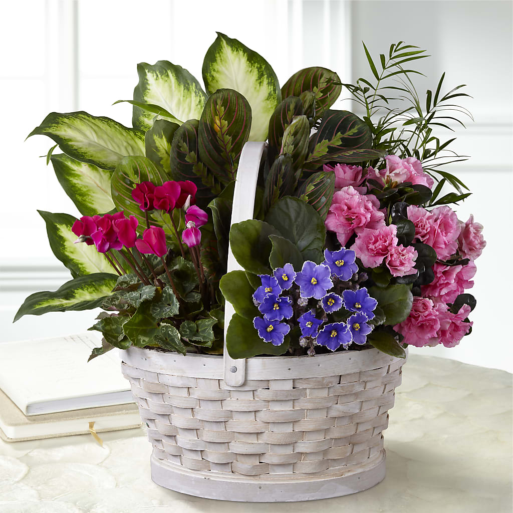 Peaceful Garden Planter – EASTON'S FLOWERS, Mount Vernon IL