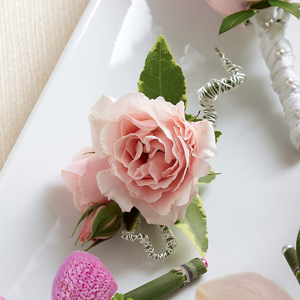 Pink Spray Rose Boutonniere – EASTON'S FLOWERS, Mount Vernon IL