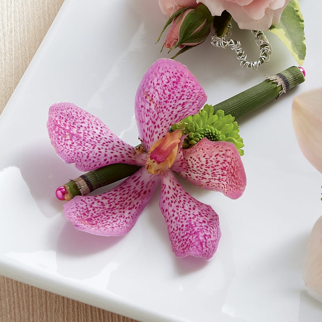 Pink Mokara Boutonniere – EASTON'S FLOWERS, Mount Vernon IL