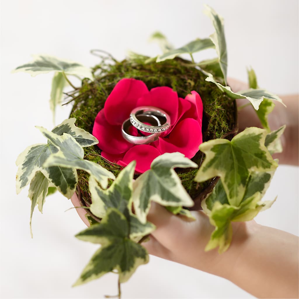 Lila Rose Ring Nest – EASTON'S FLOWERS, Mount Vernon IL