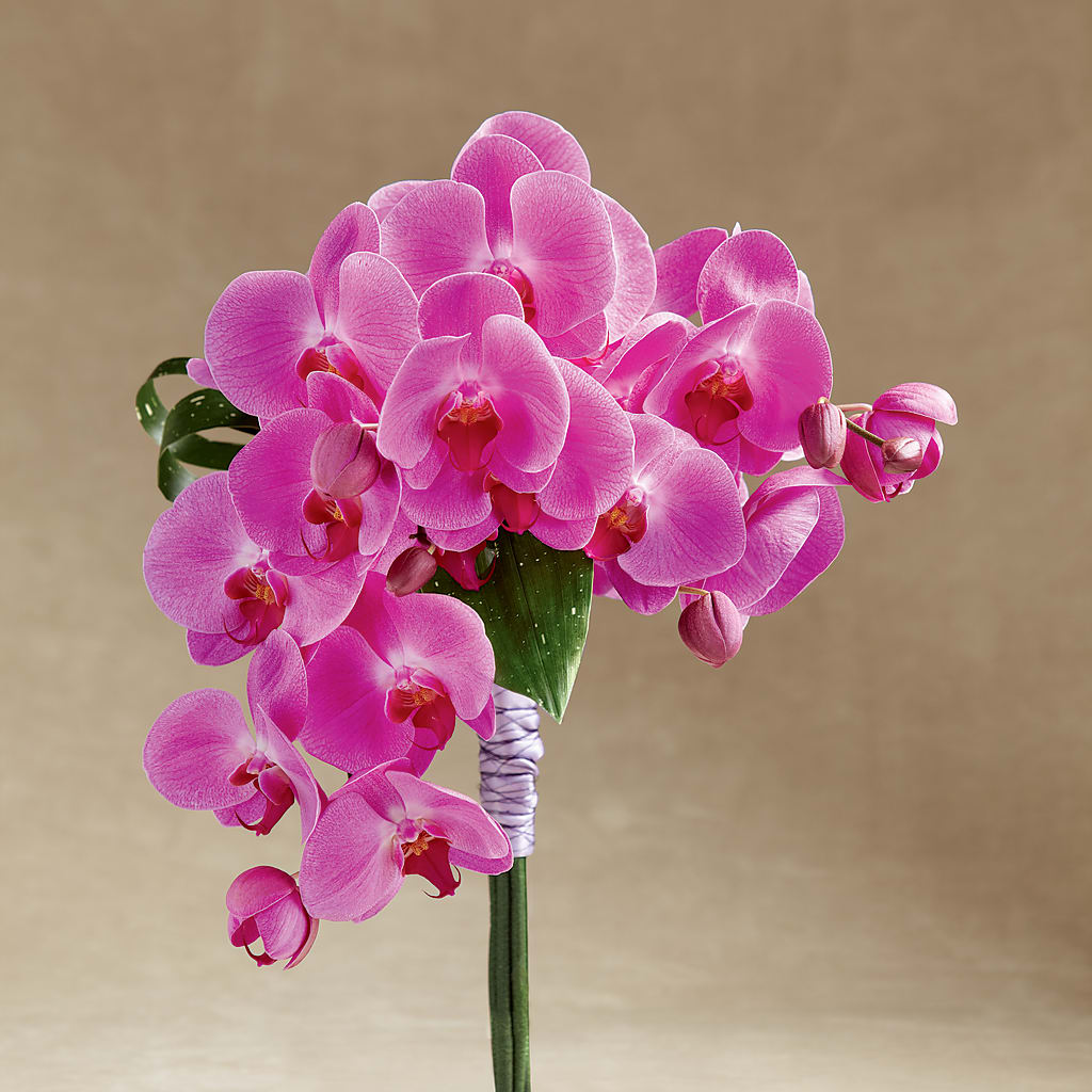 Glorious Bouquet – EASTON'S FLOWERS, Mount Vernon IL
