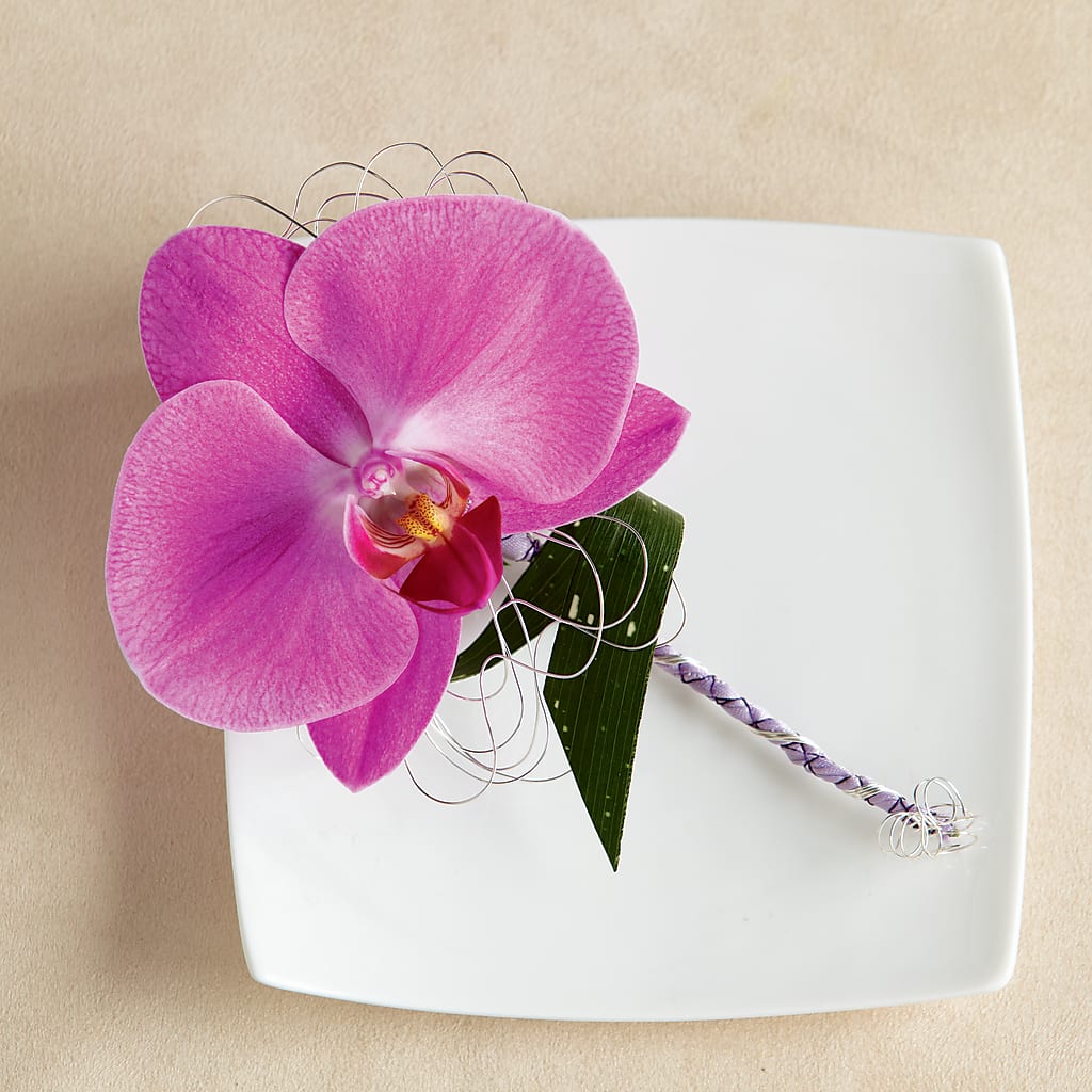 Glorious Boutonniere – EASTON'S FLOWERS, Mount Vernon IL