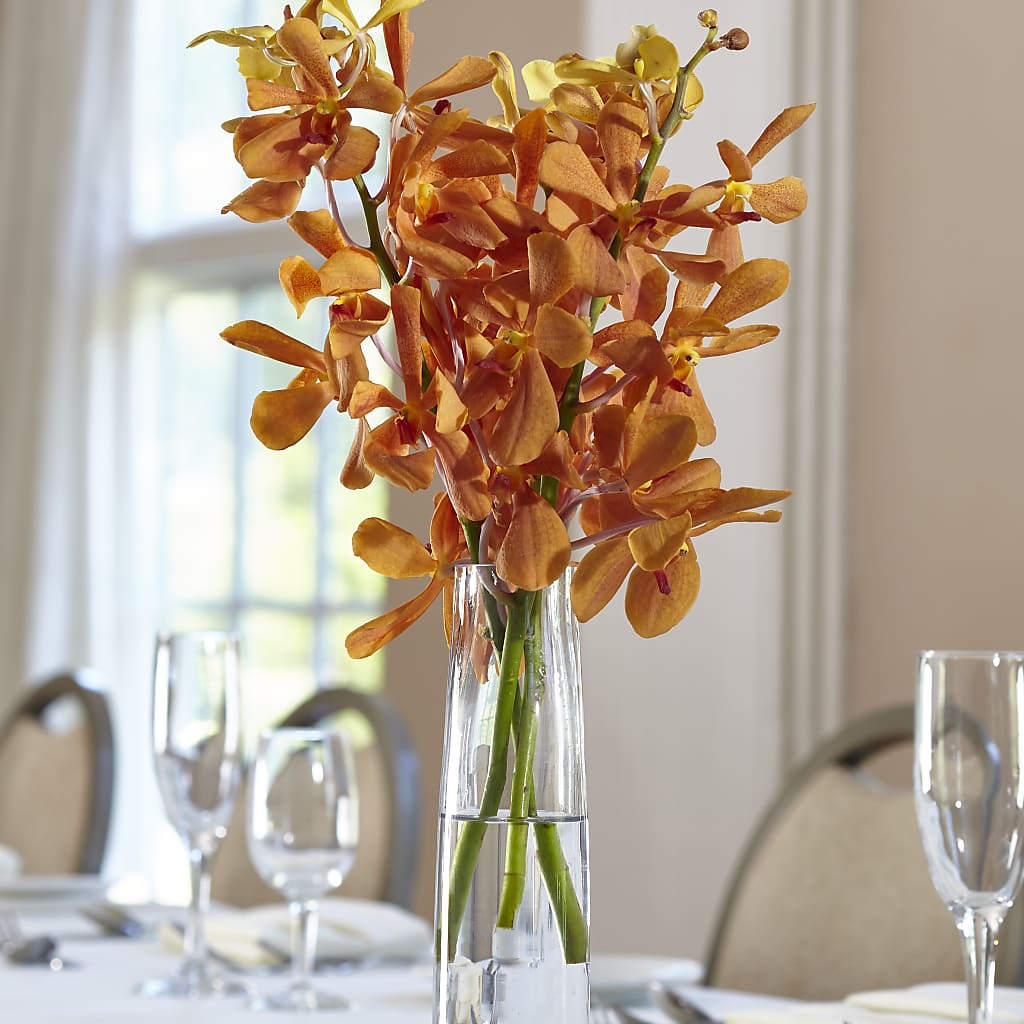 Orange Mokara Bud Vase – EASTON'S FLOWERS, Mount Vernon IL
