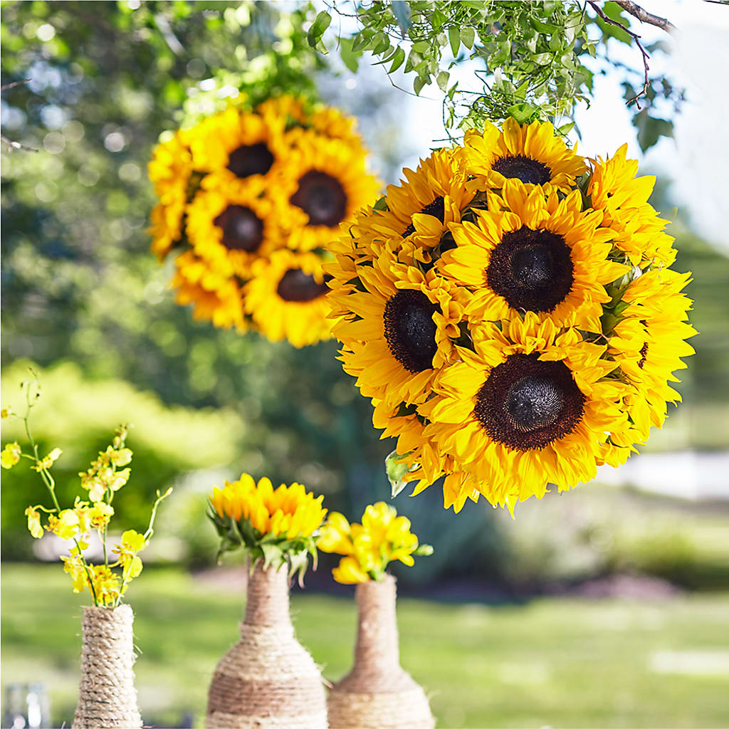 Sublime Garden Hanging Arrangement – EASTON'S FLOWERS, Mount Vernon IL