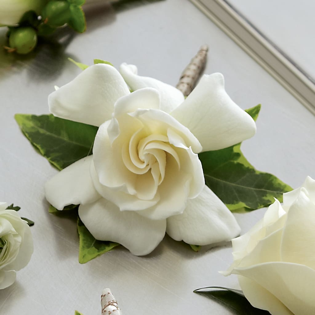Gardenia Boutonniere – EASTON'S FLOWERS, Mount Vernon IL