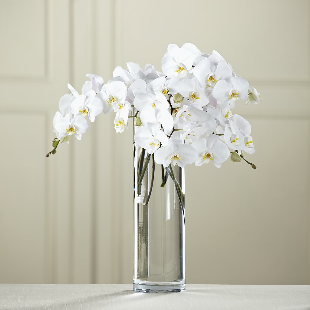 White Phalaenopsis Bouquet – EASTON'S FLOWERS, Mount Vernon IL