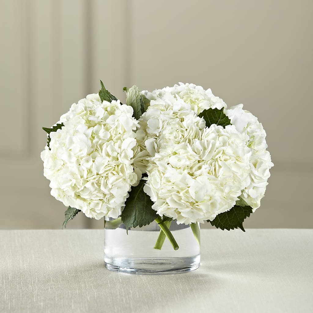 White Hydrangea Bouquet – EASTON'S FLOWERS, Mount Vernon IL