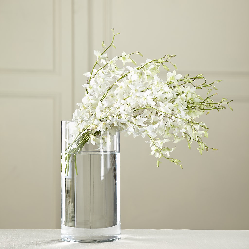 White Dendrobium Bouquet – EASTON'S FLOWERS, Mount Vernon IL