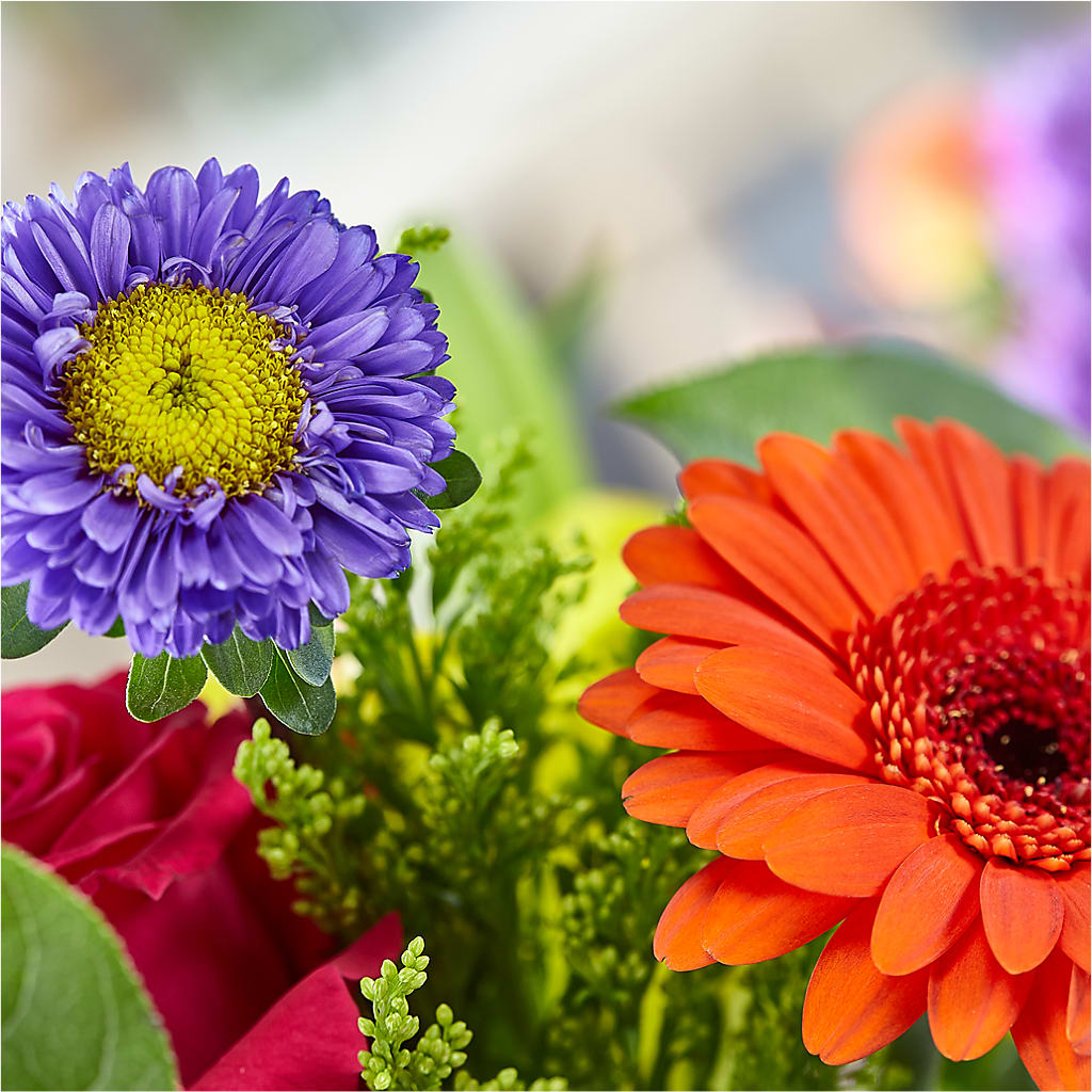 Bold & Bright – A Florist Original – EASTON'S FLOWERS, Mount Vernon IL