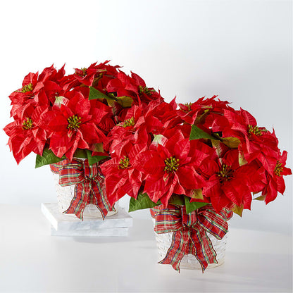 Happiest Holidays Poinsettia Bundle – EASTON'S FLOWERS, Mount Vernon IL