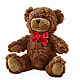 Adorable Plush Bear – EASTON'S FLOWERS, Mount Vernon IL