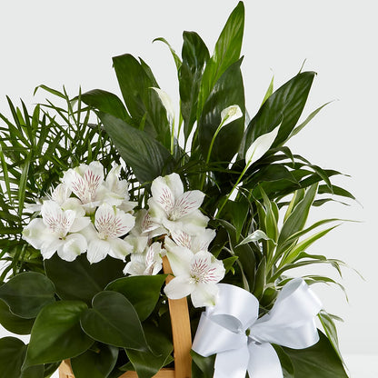 Peace & Serenity Dishgarden – EASTON'S FLOWERS, Mount Vernon IL