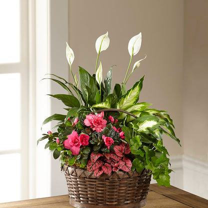 Dream in Pink Dishgarden – EASTON'S FLOWERS, Mount Vernon IL