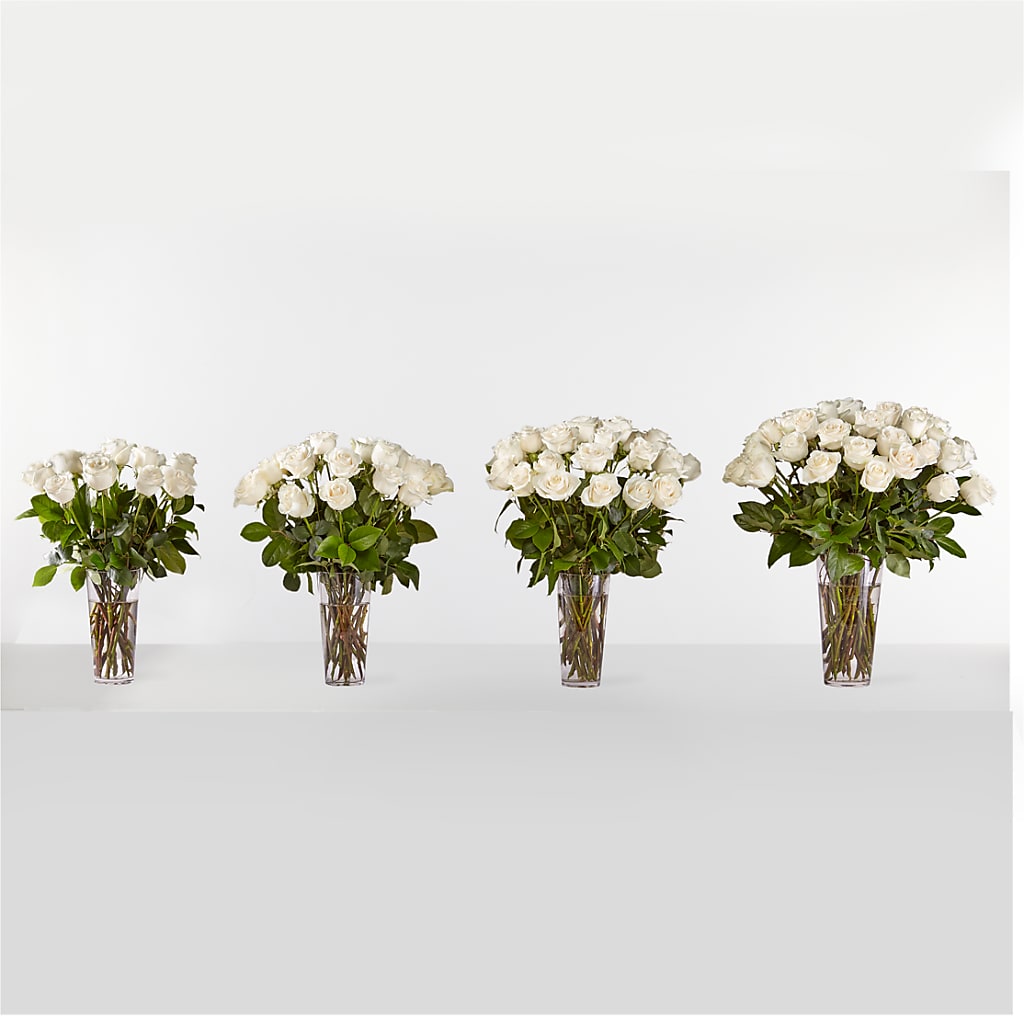 Long Stem White Rose Bouquet – EASTON'S FLOWERS, Mount Vernon IL