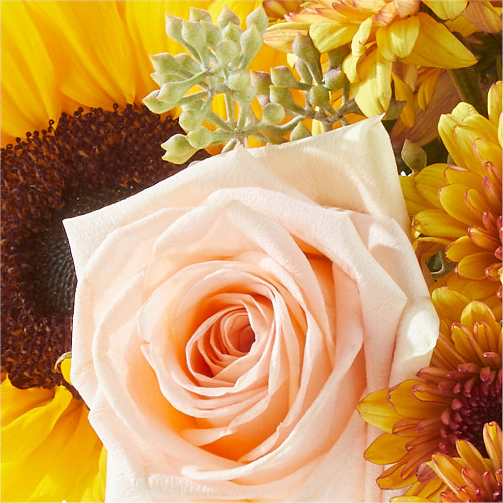 Pumpkin to Talk About Bouquet – EASTON'S FLOWERS, Mount Vernon IL
