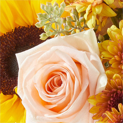 Pumpkin to Talk About Bouquet – EASTON'S FLOWERS, Mount Vernon IL