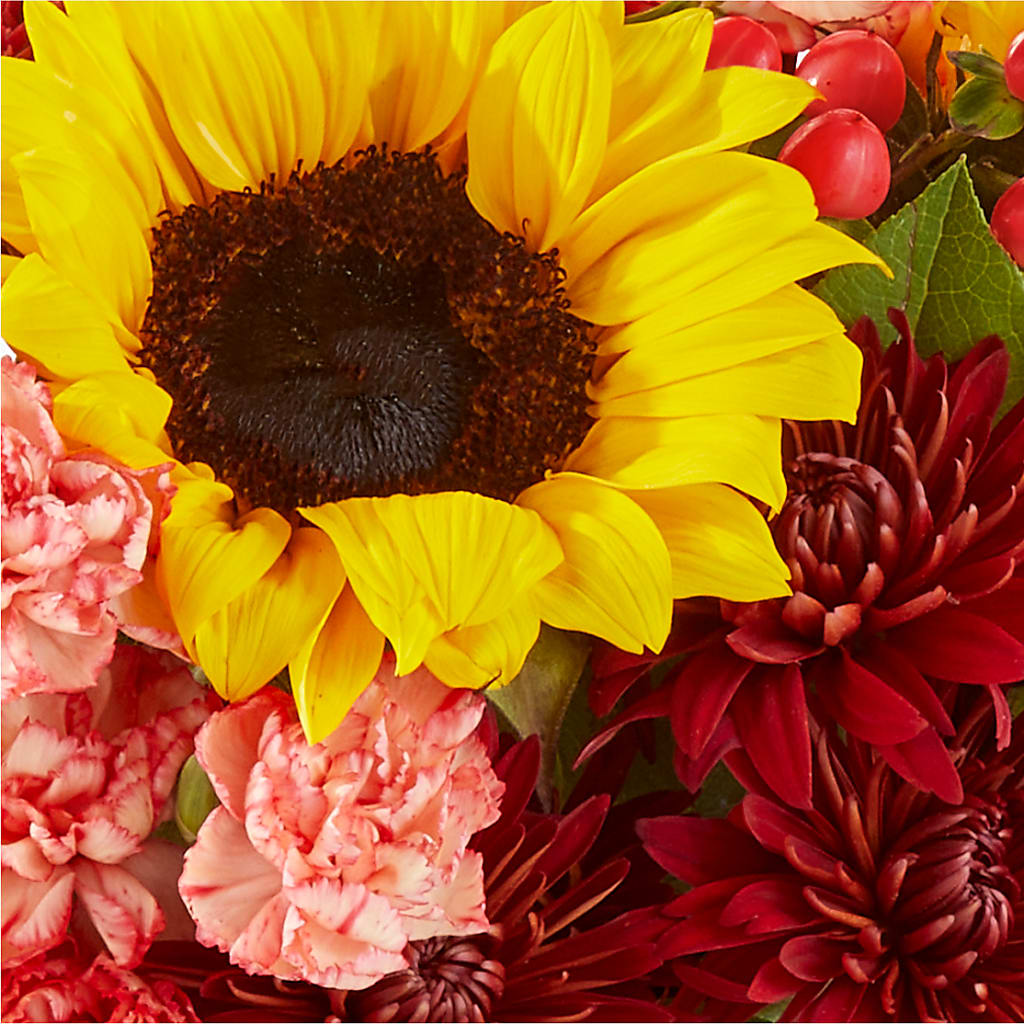 Fresh Cider Bouquet – EASTON'S FLOWERS, Mount Vernon IL