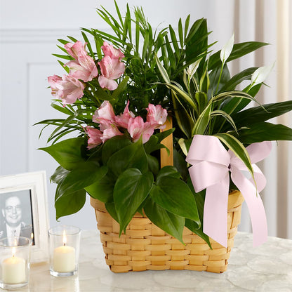 Living Spirit Dishgarden – EASTON'S FLOWERS, Mount Vernon IL