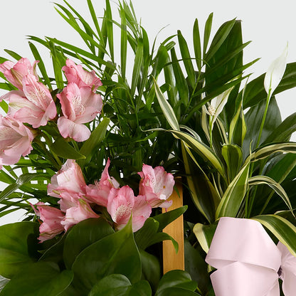 Living Spirit Dishgarden – EASTON'S FLOWERS, Mount Vernon IL