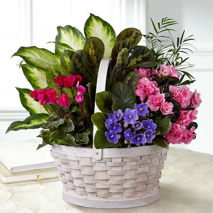 Peaceful Garden Planter – EASTON'S FLOWERS, Mount Vernon IL