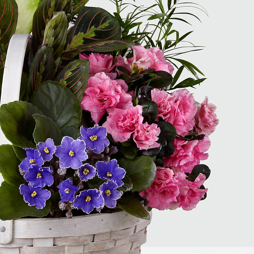 Peaceful Garden Planter – EASTON'S FLOWERS, Mount Vernon IL
