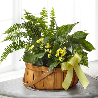 Always Dear Dishgarden – EASTON'S FLOWERS, Mount Vernon IL