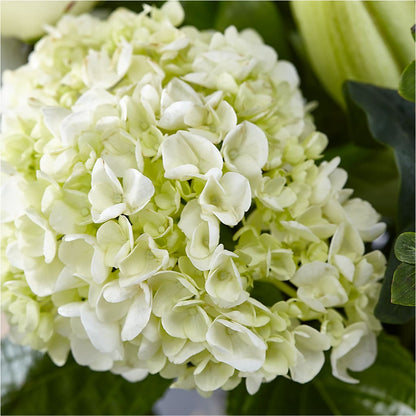 Classic Ivory – A Florist Original – EASTON'S FLOWERS, Mount Vernon IL
