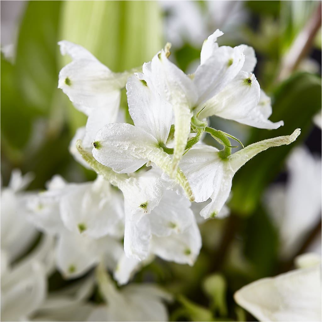 Classic Ivory – A Florist Original – EASTON'S FLOWERS, Mount Vernon IL