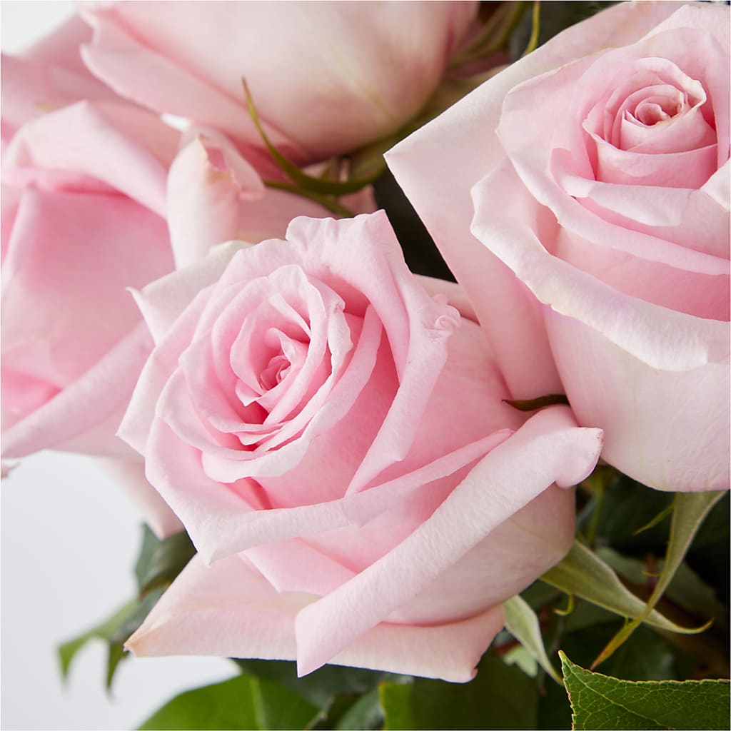 Picture Perfect Pink Rose Bouquet – EASTON'S FLOWERS, Mount Vernon IL