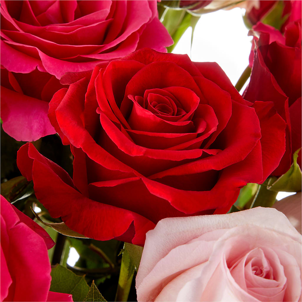 Love Notes Rose Bouquet – EASTON'S FLOWERS, Mount Vernon IL