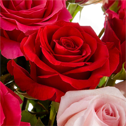 Love Notes Rose Bouquet – EASTON'S FLOWERS, Mount Vernon IL