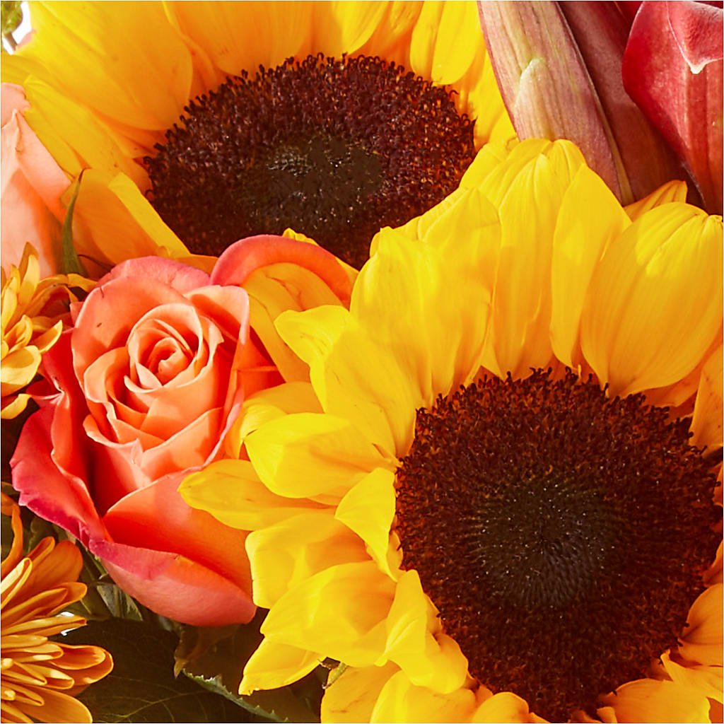 Acorn Lane Bouquet – EASTON'S FLOWERS, Mount Vernon IL