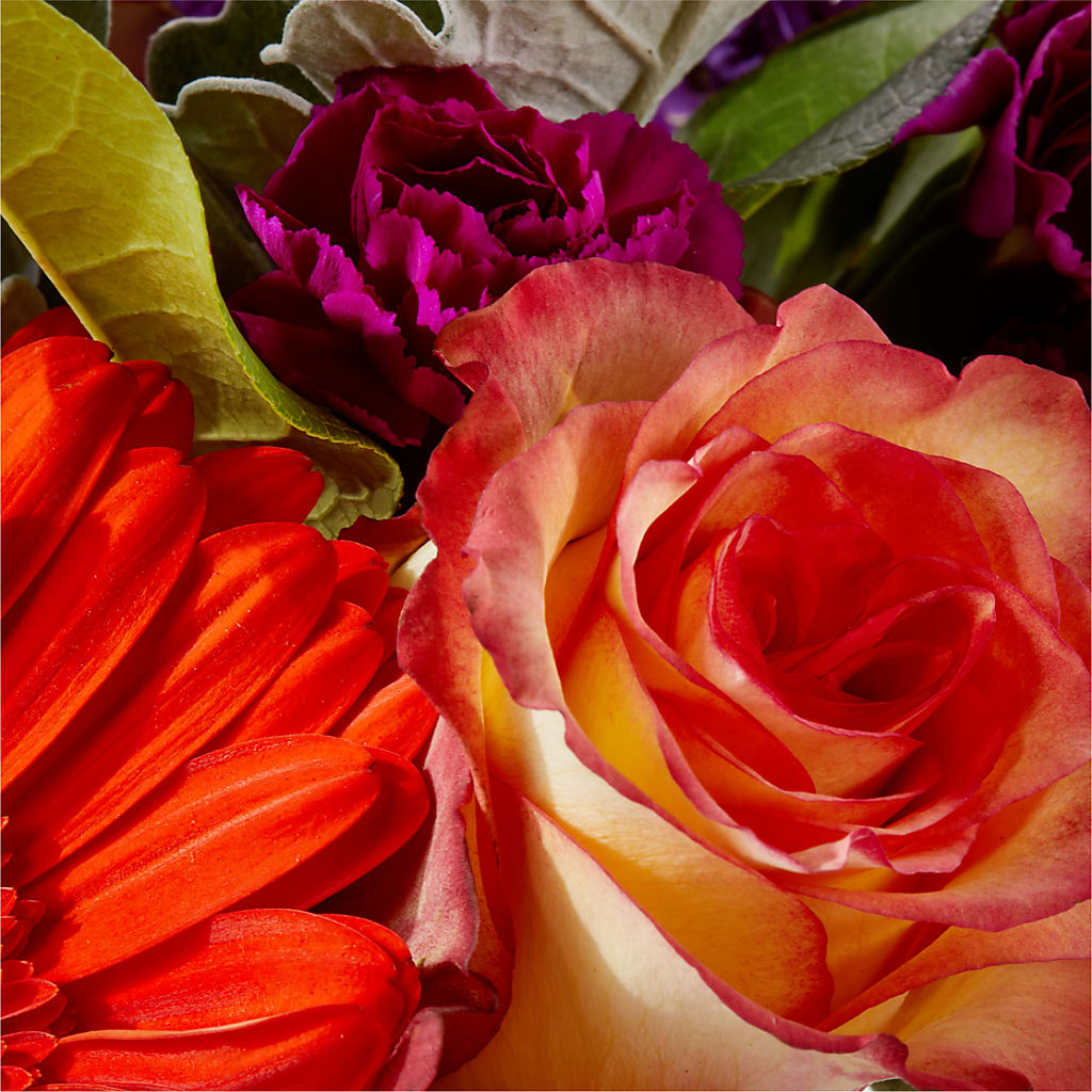 Sangria Bouquet – EASTON'S FLOWERS, Mount Vernon IL