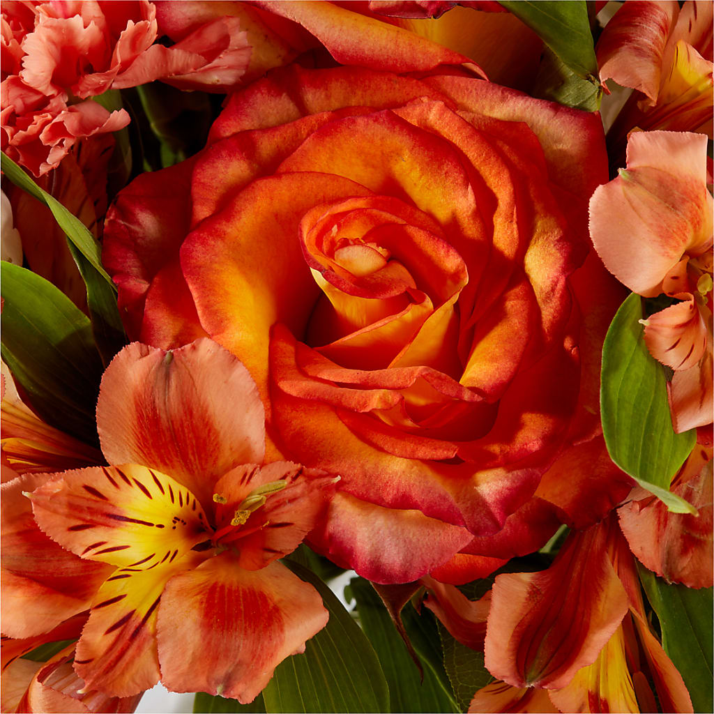 Apricot Glow Bouquet – EASTON'S FLOWERS, Mount Vernon IL