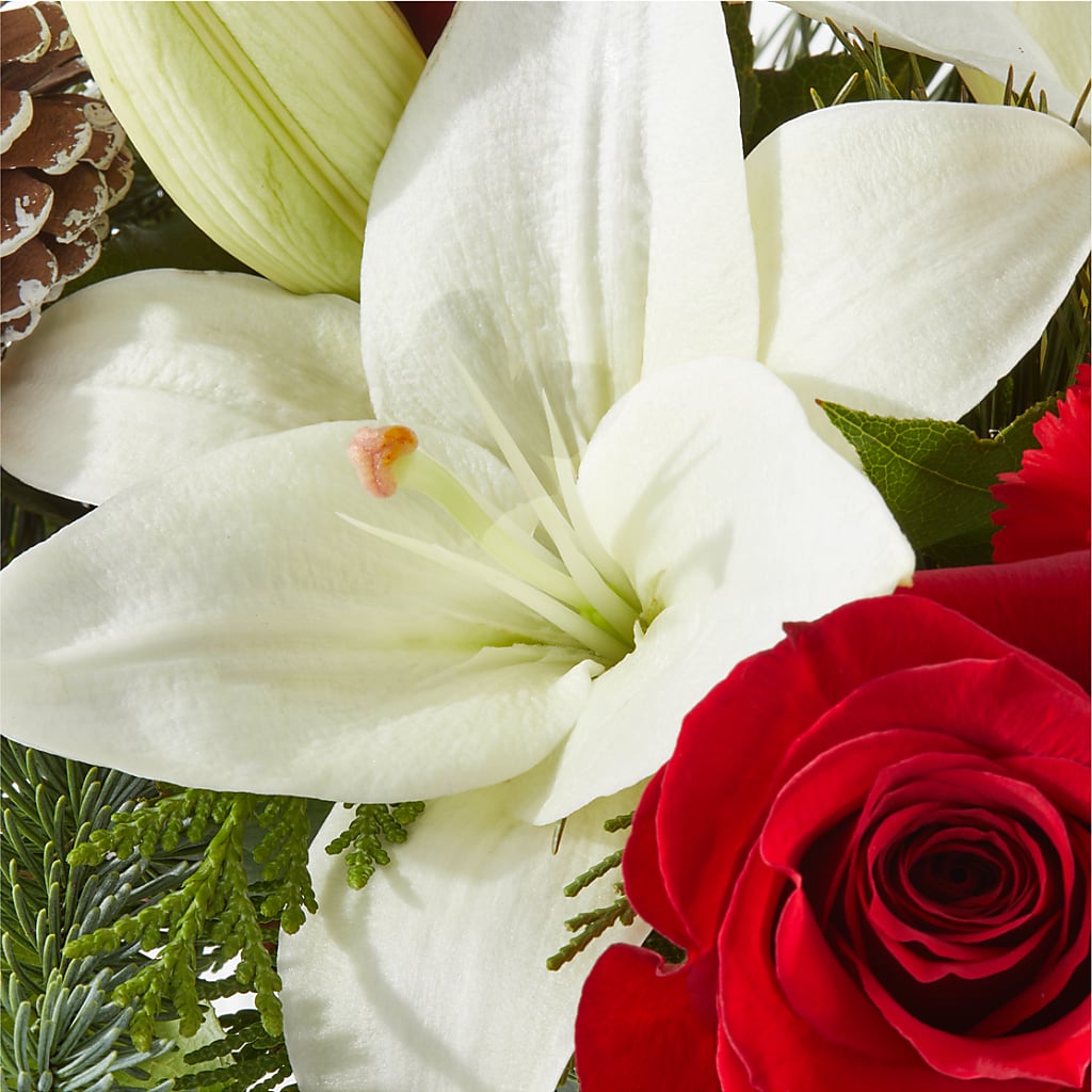 Oh So Jolly Bouquet – EASTON'S FLOWERS, Mount Vernon IL