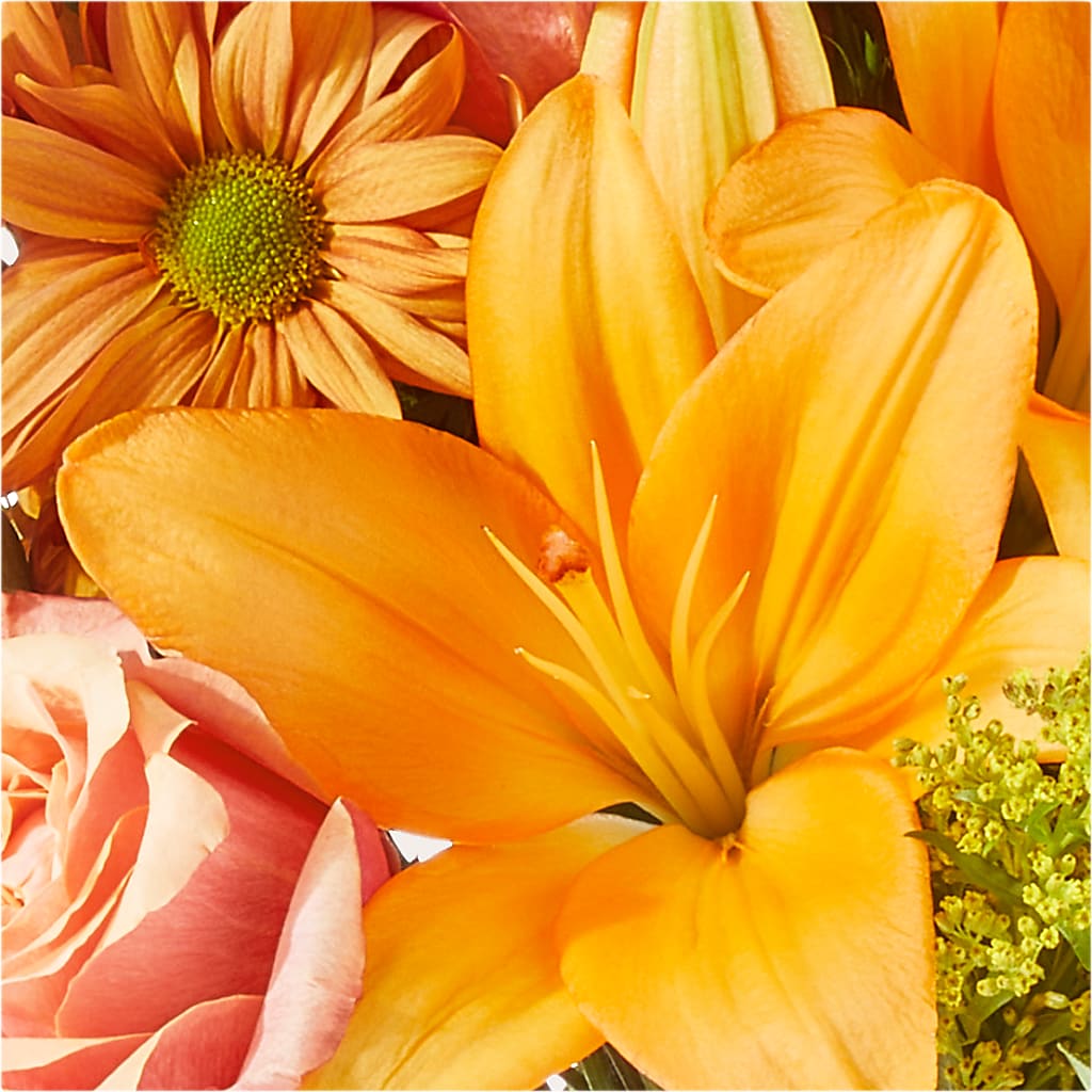 Harvest Hayride Bouquet – EASTON'S FLOWERS, Mount Vernon IL