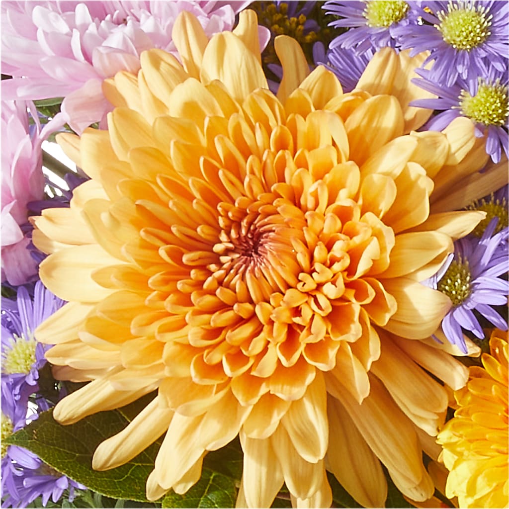 Countryside Bouquet – EASTON'S FLOWERS, Mount Vernon IL