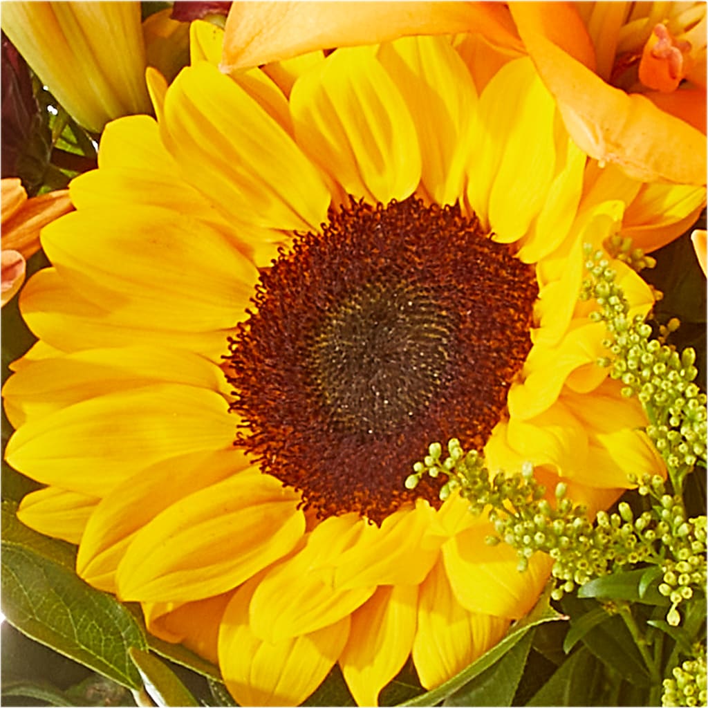 Seasons Change Bouquet – EASTON'S FLOWERS, Mount Vernon IL