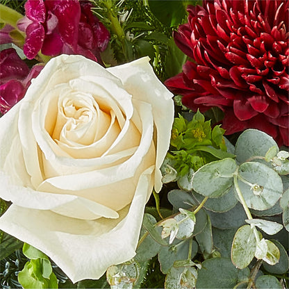 Cranberry Fizz Bouquet – EASTON'S FLOWERS, Mount Vernon IL