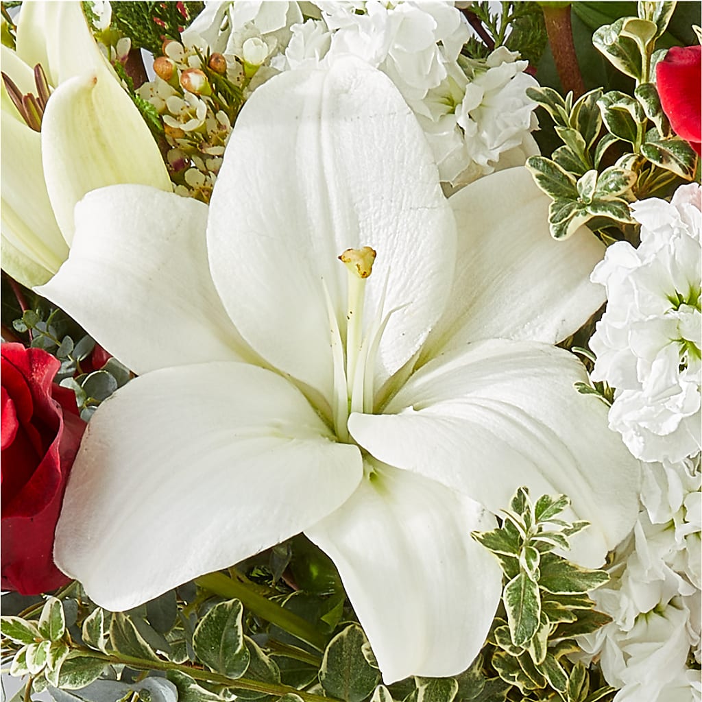 Twinkle Lights Bouquet – EASTON'S FLOWERS, Mount Vernon IL
