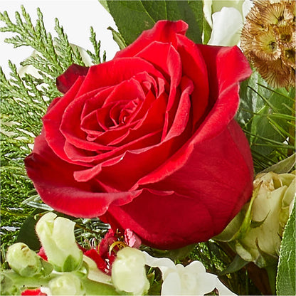 Deck the Halls Bouquet – EASTON'S FLOWERS, Mount Vernon IL