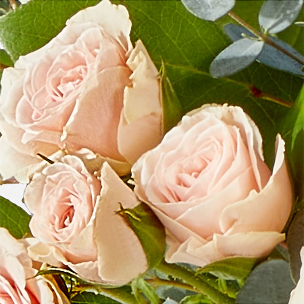 Inspired Bouquet – EASTON'S FLOWERS, Mount Vernon IL