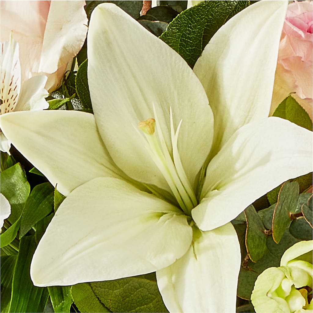 Ballet Slippers Bouquet – EASTON'S FLOWERS, Mount Vernon IL