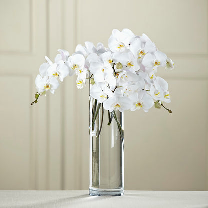 White Phalaenopsis Bouquet – EASTON'S FLOWERS, Mount Vernon IL