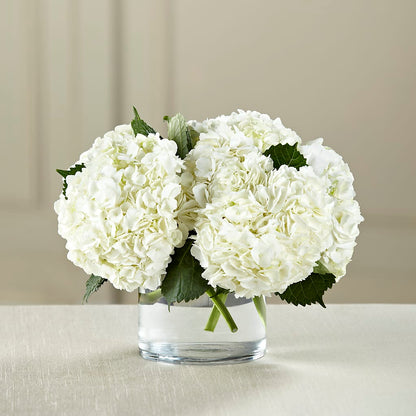 White Hydrangea Bouquet – EASTON'S FLOWERS, Mount Vernon IL